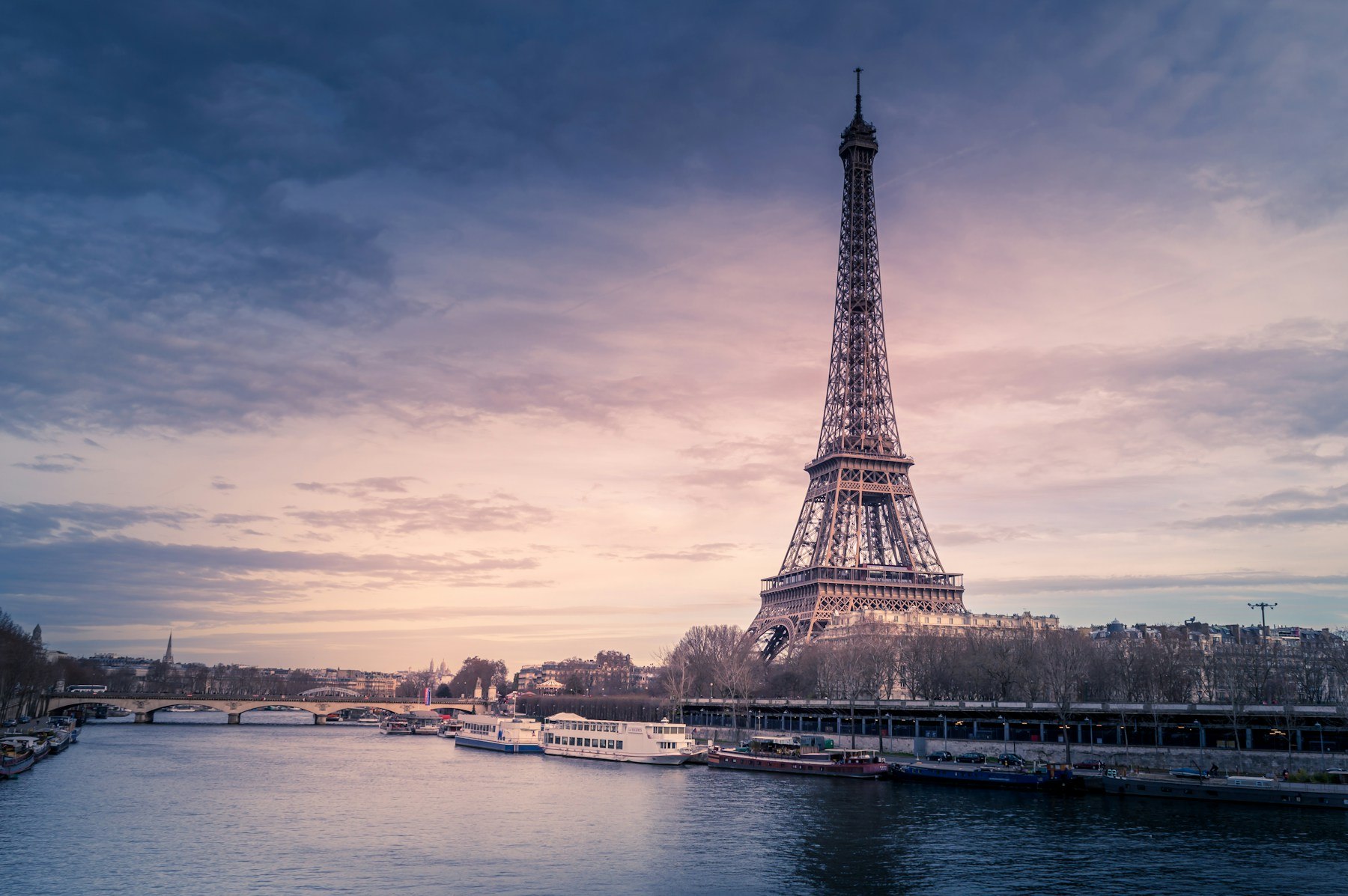 Eiffel Tower overlooking Paris